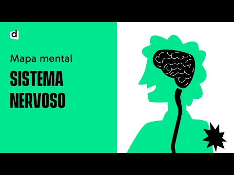 WHAT IS THE NERVOUS SYSTEM?! 🤔 | Want Me to Draw