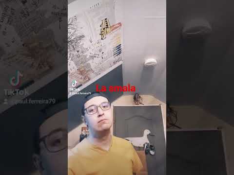 la smala - reflets d'esprits : dance