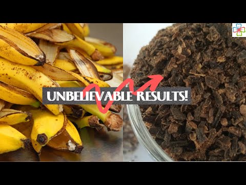 This Banana Peel Tea is Best Quick Fertilizer for Your Plants