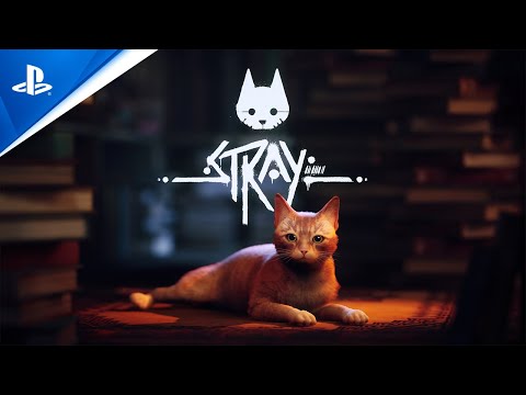 Stray