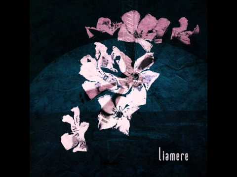 Liamere - Plaything