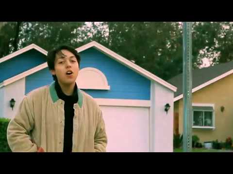 Foliage video