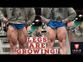 The Quads are Growing