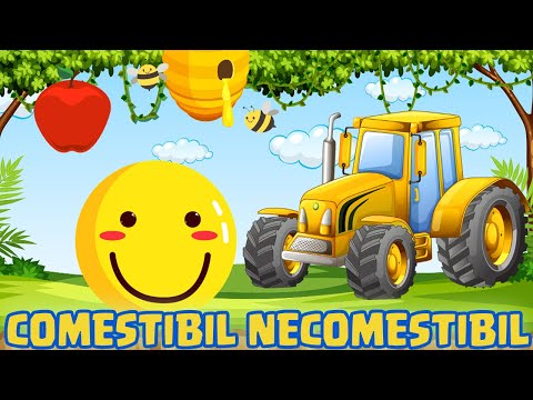 Comestibil sau Necomestibil - Cunoasterea mediului | Copilasi Dragalasi