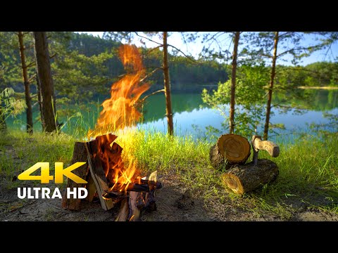 4к Beautiful Campfire at Lake With Blue Water