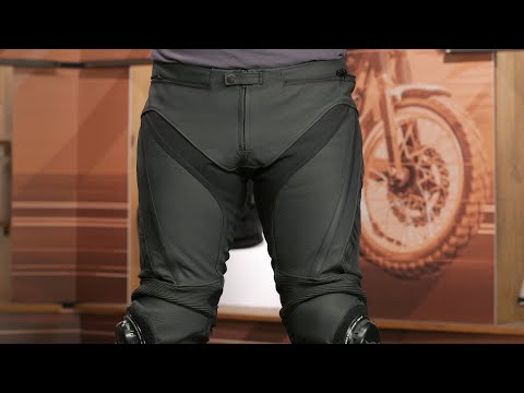 Dainese Delta 4 Perforated Leather Pants | JPCycles.com