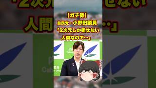 【ガチ勢】自民党・小野田議員「2次元しか愛せない人間なので…」