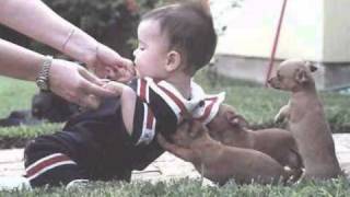 Que Bom Amigo - Milton Nascimento.wmv