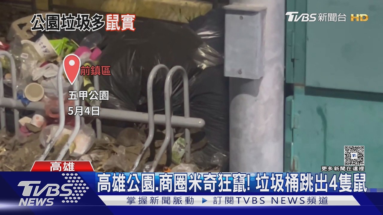 影音/台北老鼠高雄松鼠?高雄多區公園、商圈 鼠患猖獗