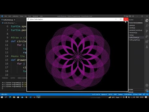Draw Beautiful Flower Using Python Python Turtle Graphics