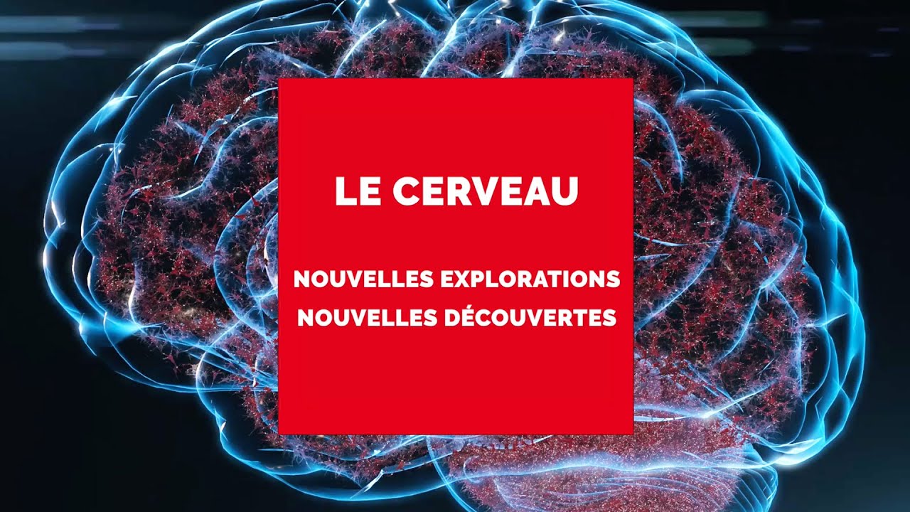 Fondamental ! À la recherche du Futur | EP3 | Les recherches sur le cerveau