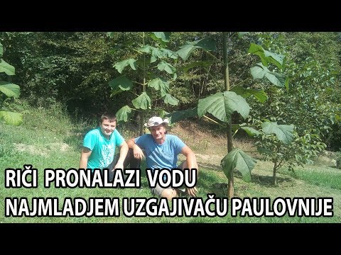 Lukavica Rijeka - pronalazenje vode mladom fanu Anesu