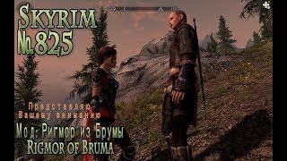 Skyrim s 825 Что же ты их так не любишь