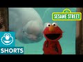 Sesame Street Elmo And Whale Love