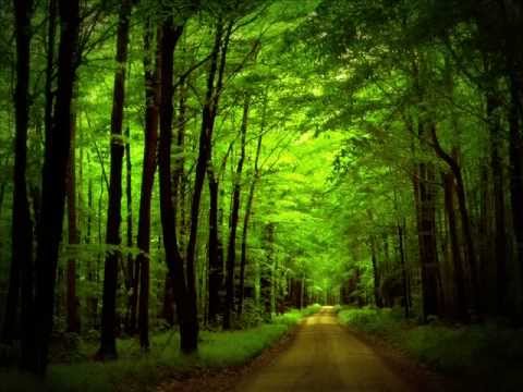 Aron Wright - In the Woods «Кухня» OST