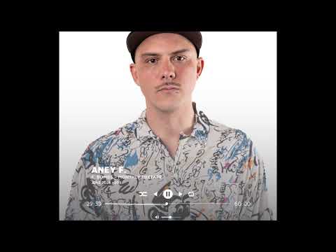 Aney F. presents F. Bombs - Monthly Mixtape - June 2024 - Episode #009