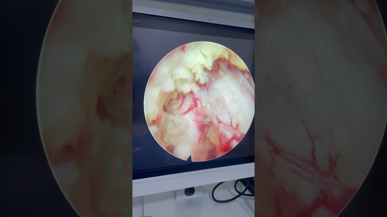 Gabriel Moretti Domingues-22