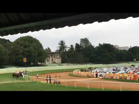 Biggest Horse Race Competition in Argentina.