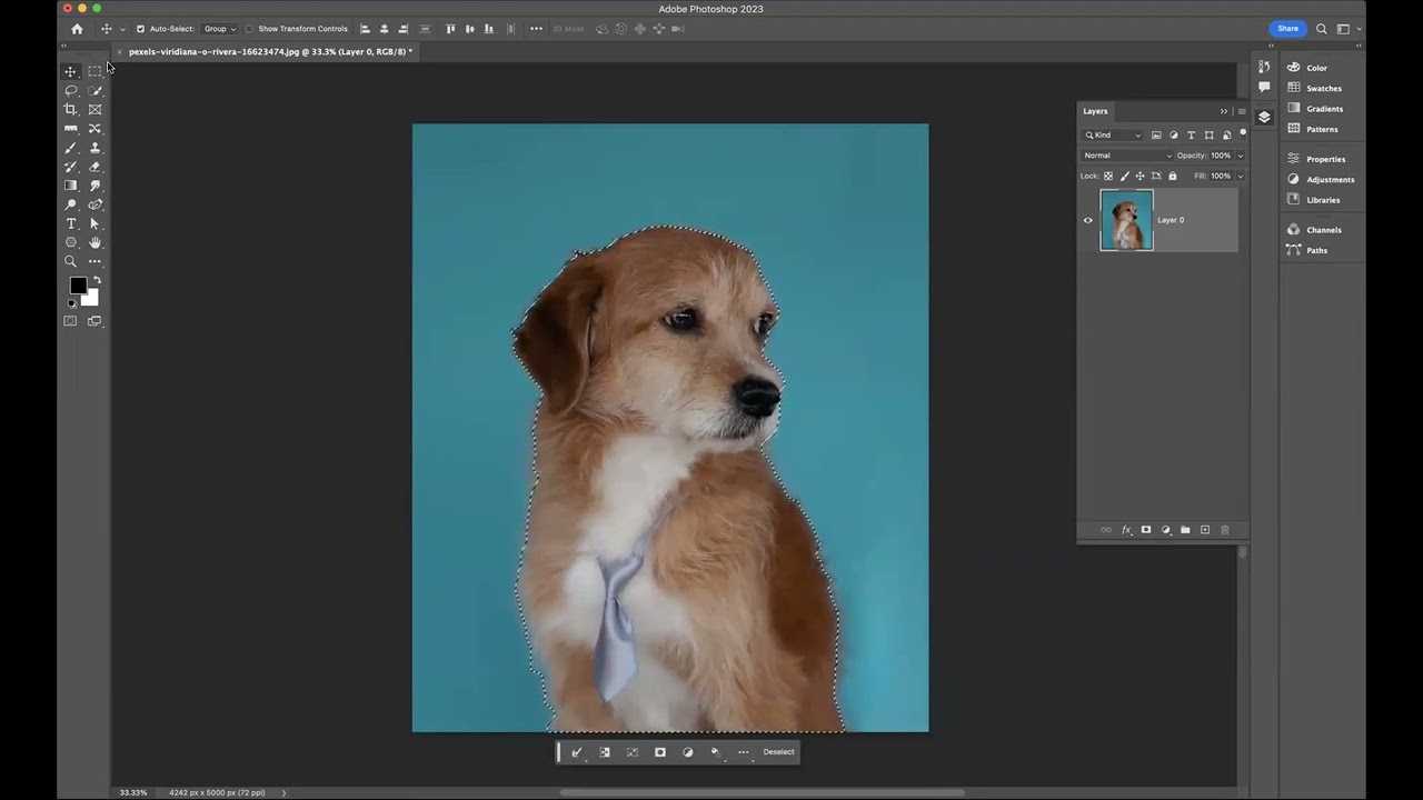 How to remove background with fur - Adobe Photoshop