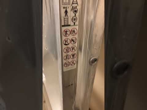 фото лестница pro startul, 147 см, 7 ступеней легкая 4,9 кг. стремянка алюминевая для дома стартул 0