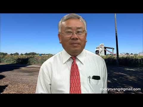 Tooj Thoj: Tub Rog Nplog Liab Sib Tua Nyob Zos Phu Hej : 1976-1979: 2/7/2026