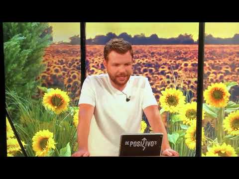 20200825 Katsign op VTM De Positivo's