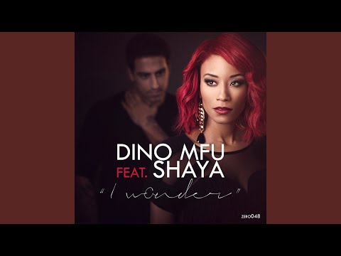 I Wonder (feat. Shaya)