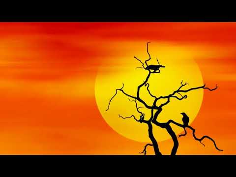 Blissful Moment  by Bliss (Art by JJM)