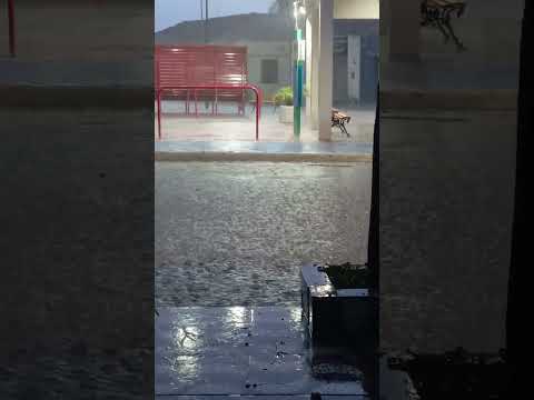 CHUVA EM CEDRO PE 🌎 TVSL 2026.