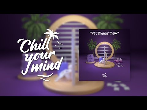 Provi, Pierre Leck, Hadar Sopher - You Should Know