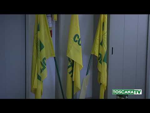 2018-01-23 PISTOIA - TRENO URTA 2 CINGHIALI, MORTI ANIMALI, 1 ORA STOP