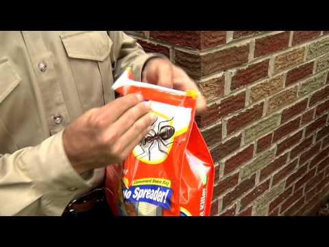 image-Does ant powder work outside?