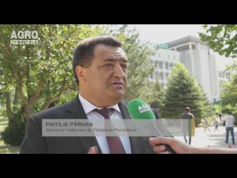 Mămăligă de 600 de kilograme, la Festivalul Porumbului