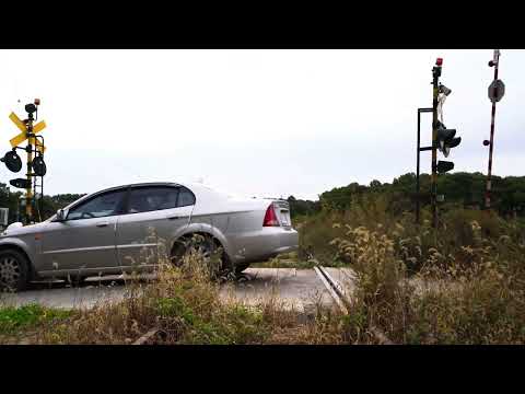 Náhled videa Virtual Insanity Camp - Hard Days