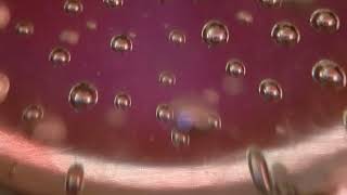 petar dundov oasis substance + vainqueur remix + speedy j evolution