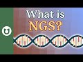 What Is NGS Next Generation Sequencing MDS