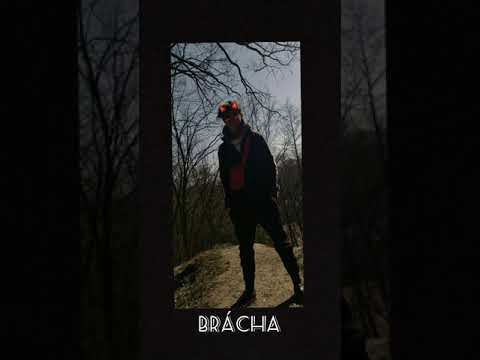 Radim Krotký | Brácha | 2020 |