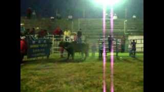preview picture of video 'Rancho los Guayabitos y el wisky vs El vaquero de colima en Queseria colima ( monta # 1 )'