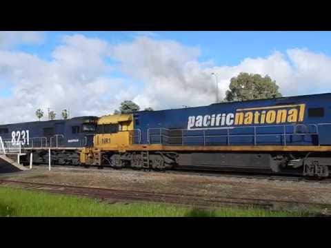 Junee Trains NR37, NR1, 8231, AN5 & NR79 with 2MW2