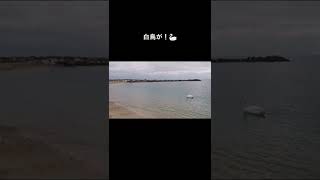 冬の南フランス、アンティーブ　#shorts #france #南フランス #アンティーブ #南仏 #海辺の町