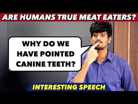 Herbivores or Omnivores? | Are Humans True Meat Eaters? | Interesting Speech | Lecture on Veganism