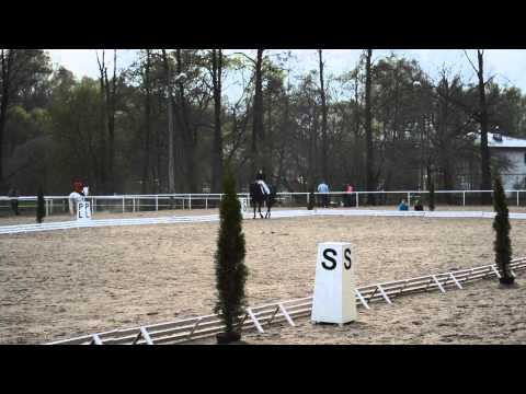 Equus-natura Lamborghini K klasa P2