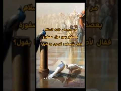 قصة سليمان عليه السلام