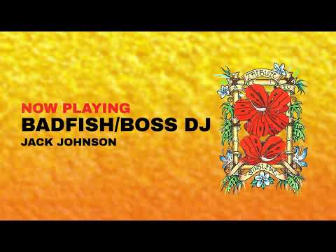 "Badfish / Boss DJ" by Jack Johnson (Official Visualizer)
