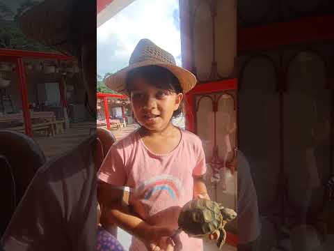 Finca El Peñón- Mesitas Cundinamarca Colombia #niños #vacaciones #colombia #abuelitos