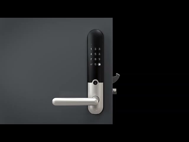 YouTube Video -
