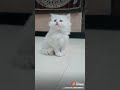 Tujhe Na Dekhun To Chain Mujhe Aata Nahin