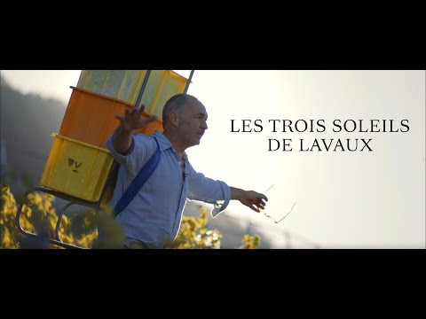 Les Trois Soleils de Lavaux  ( film documentaire complet )
