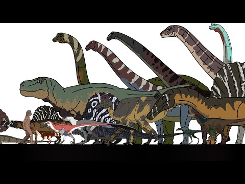 Dinosaurs Size Comparison 01(animated)