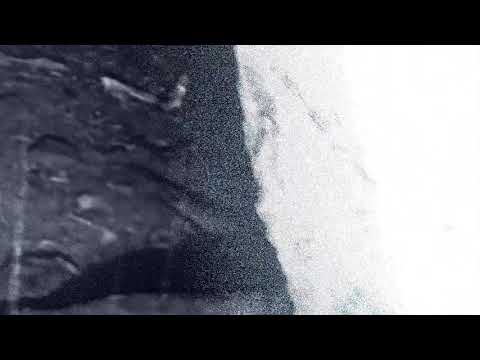 Insekten - Luca Atzori & Bikini Party - Teaser